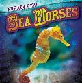 Sea Horses