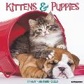 Kittens & Puppies 2020 Wall Calendar