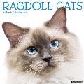 Ragdoll Cats 2021 Wall Calendar