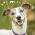 Just Whippets 2024 12" x 12" Wall Calendar