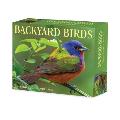 Backyard Birds 2025 6.2" x 5.4" Box Calendar