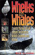 Whelks to Whales Coastal Marine Life of the Pacific Northwest