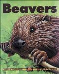 Beavers Kids Can Press Wildlife Series