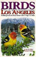 Birds Of Los Angeles Including Santa Bar