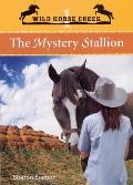 The Mystery Stallion