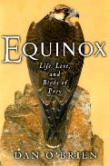 Equinox Life Love & Birds Of Prey