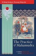The Practice of Mahamudra: The Teachings of His Holiness, the Drikung Kyabgon, Chetsang Rinpoche