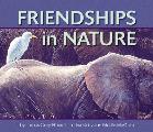 Friendships In Nature