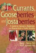 Currants, Gooseberries, and Jostaberries: A Guide for Growers, Marketers, and Researchers in North America