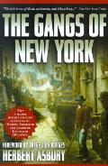 Gangs Of New York An Informal History Of The Underworld