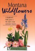 Montana Wildflowers A Beginners Field Guide To The