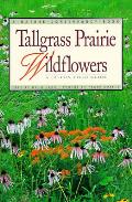Tallgrass Prairie Wildflowers A Field Guide