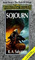 Sojourn Forgotten Realms Dark Elf 03