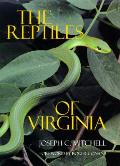 Reptiles Of Virginia