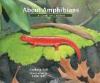 About Amphibians A Guide For Children