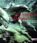 Smile Of A Dolphin Remarkable Accounts