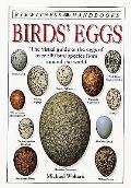 Birds Eggs Eyewitness Handbooks