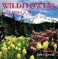 Wildflowers Of Oregon