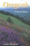 Oregons Best Wildflower Hikes Northwest