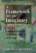 Framework For The Imaginary Clinical Exp