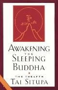 Awakening the Sleeping Buddha