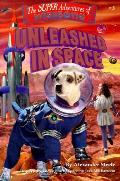 Wishbone Super 3 Unleashed In Space
