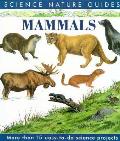 Mammals Of North America Science Nature