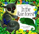 In The Rain Forest A Nature Trail Book