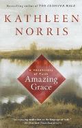 Amazing Grace: A Vocabulary of Faith