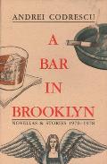 Bar in Brooklyn Novellas & Stories 1970 1978