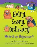 Hairy Scary Ordinary What is an Adjective