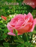Tender Roses For Tough Climates