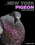 The New York Pigeon: Behind the Feathers