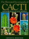 Illustrated Encyclopedia Of Cacti
