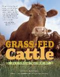 Grass Fed Cattle How to Produce & Market Natural Beef
