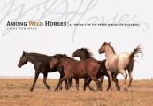 Among Wild Horses A Portrait of the Pryor Mountain Mustangs