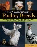 Storeys Illustrated Guide To Poultry Breeds