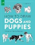 How to Draw Dogs and Puppies: A Complete Guide for Beginners