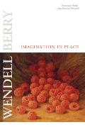 Imagination in Place: Essays