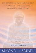 Beyond the Breath: Extraordinary Mindfulness Through Whole Body Vipassana Yoga Meditation