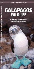 Galapagos Wildlife: An Introduction to Familiar Species