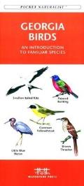 Montana Birds: A Folding Pocket Guide to Familiar Species