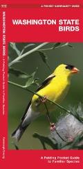 Washington State Birds: A Folding Pocket Guide to Familiar Species