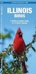 Illinois Birds: An Introduction to Familiar Species