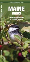 Maine Birds: A Folding Pocket Guide to Familiar Species