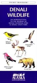 Nevada Birds: A Folding Pocket Guide to Familiar Species