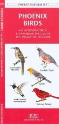 San Diego Birds: An Introduction to Familiar Species