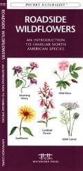 Reptiles & Amphibians: An Introduction to Familiar North American Species