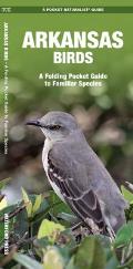 Arkansas Birds: A Folding Pocket Guide to Familiar Species