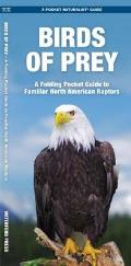 Birds of Prey: An Introduction to Familiar North American Species